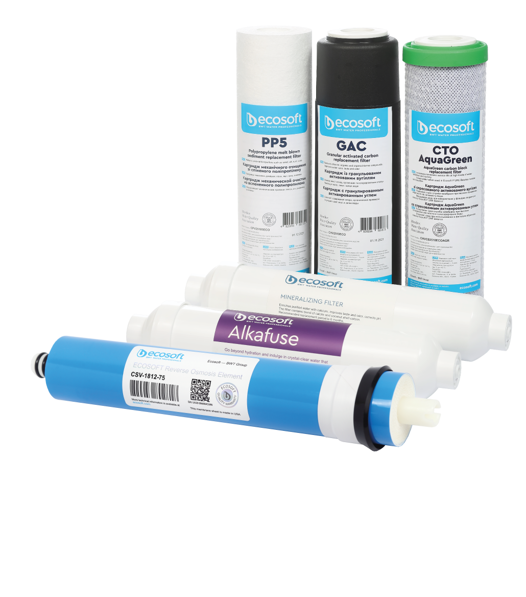 Ecosoft P'URE Alkafuse 12 month set of replacement filters
