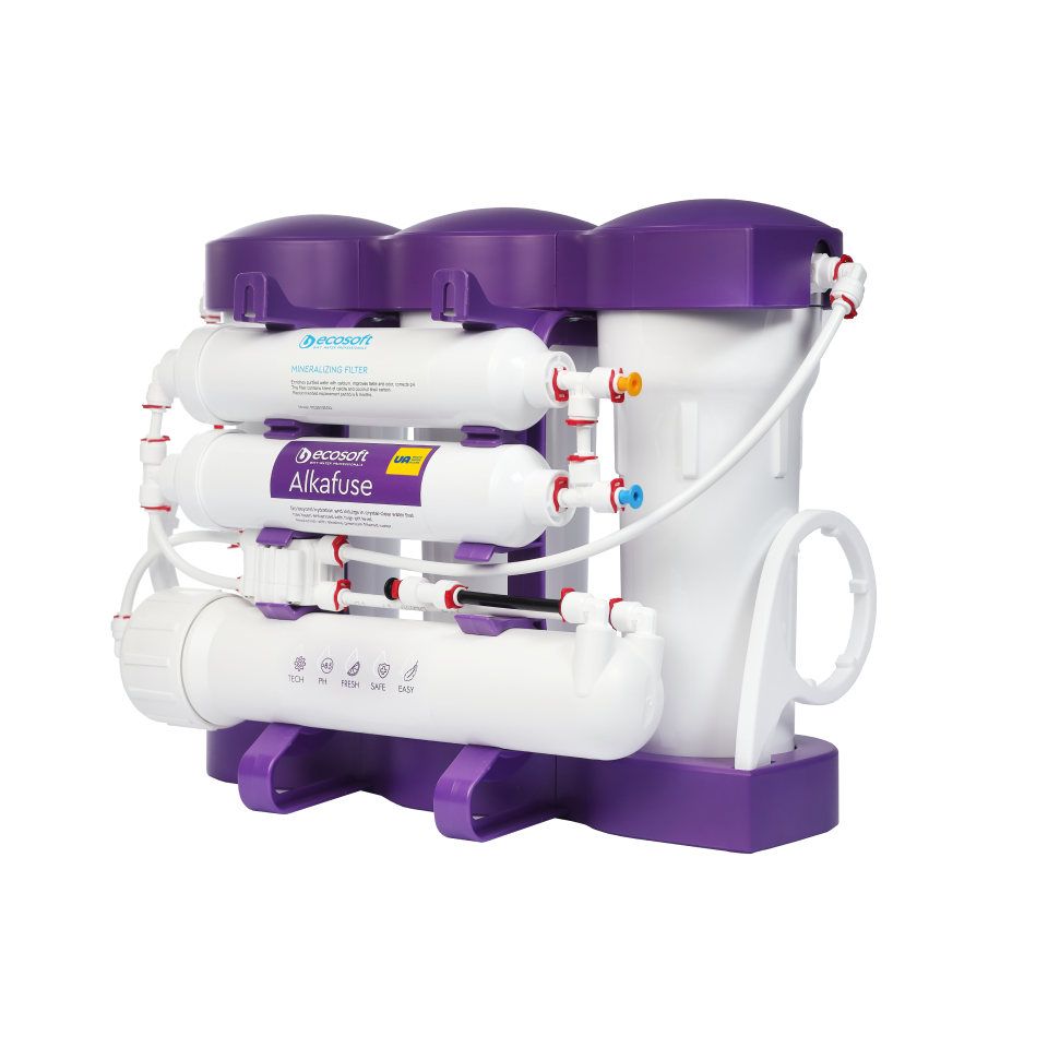 Ecosoft P'URE Alkafuse Reverse Osmosis Filter System with Pump