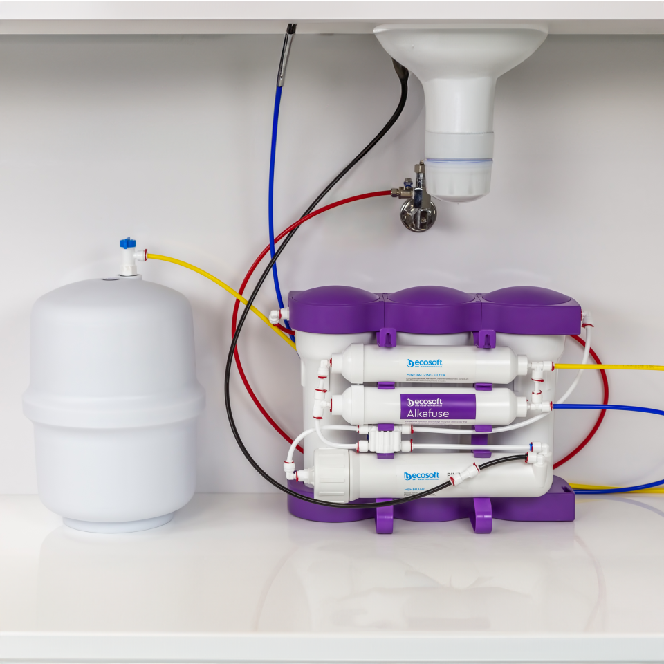 Ecosoft P'URE Alkafuse Reverse Osmosis Filter System with Pump