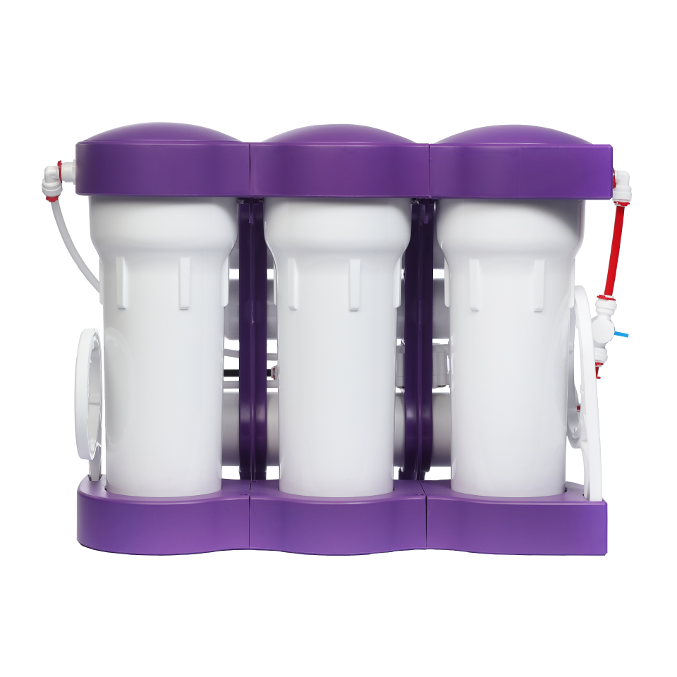 Ecosoft P'URE Alkafuse Reverse Osmosis Filter System with Pump
