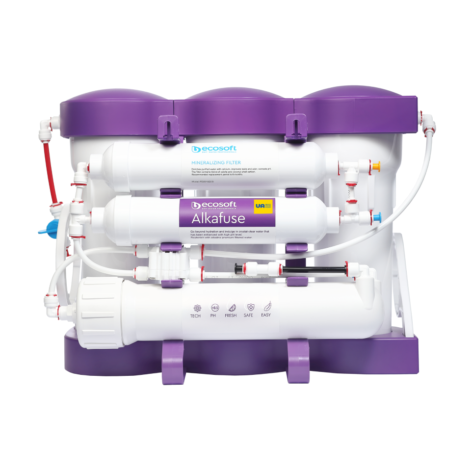 Ecosoft P'URE Alkafuse Reverse Osmosis Filter System with Pump