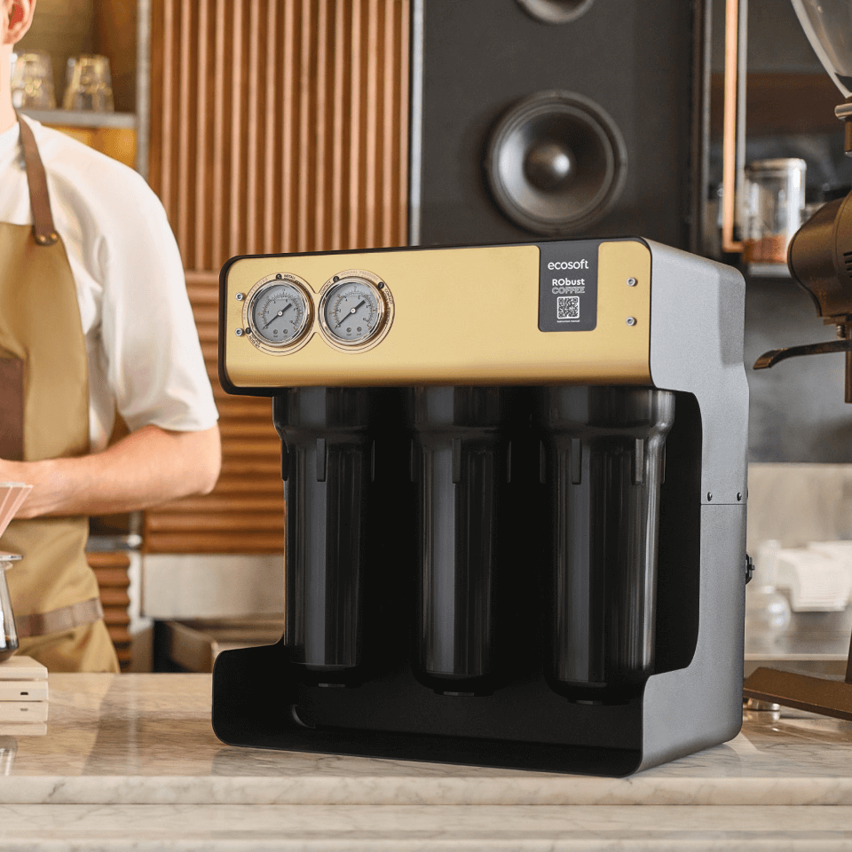 Ecosoft RObust COFFEE Direct Flow Reverse Osmosis System