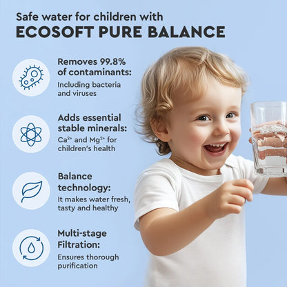 Ecosoft PURE Balance set of 6 replacement filters (12 months)