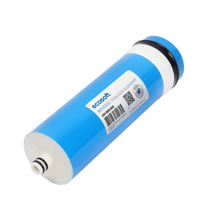 Ecosoft 500 GPD membrane element