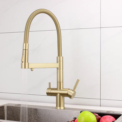 Hommix Savona Brushed Brass 3-Way Triflow Pull-Out Kitchen Tap